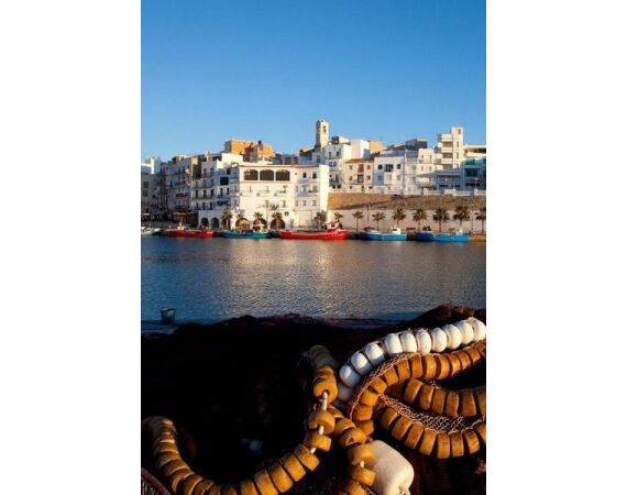 Spanje Blauwvintonijn