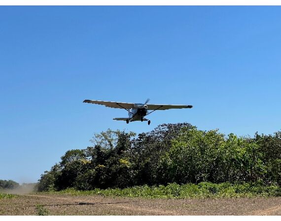 Arapaima Bolivia aug 2026