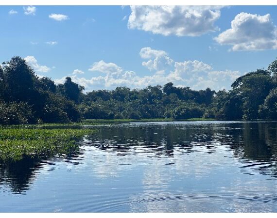 Arapaima Bolivia aug 2026