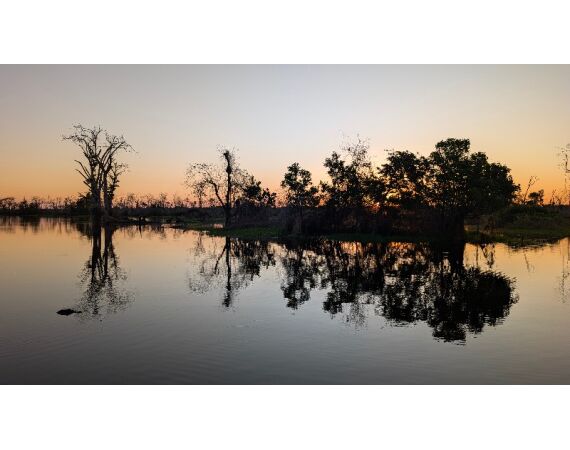 Arapaima Bolivia aug 2026