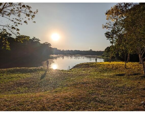 Arapaima Bolivia aug 2026