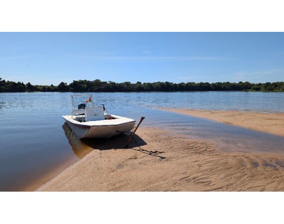 Arapaima Bolivia aug 2026