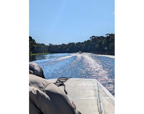 Arapaima Bolivia aug 2026