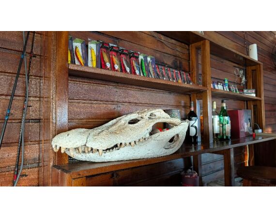 Arapaima Bolivia aug 2026