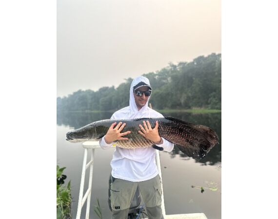 Arapaima Bolivia aug 2026