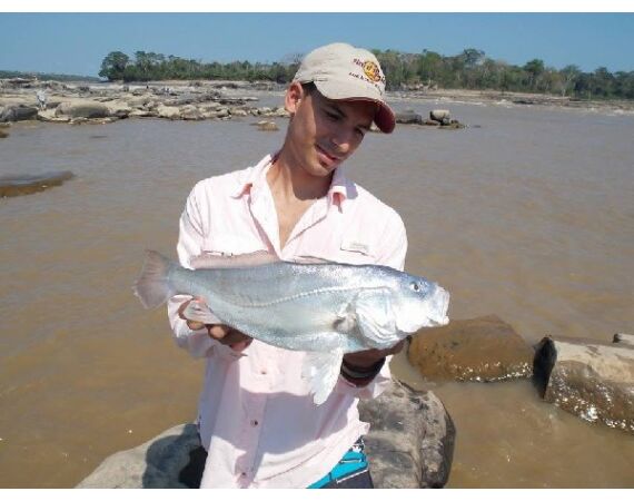 Arapaima Bolivia aug 2026