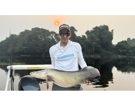 Arapaima Bolivia aug 2026