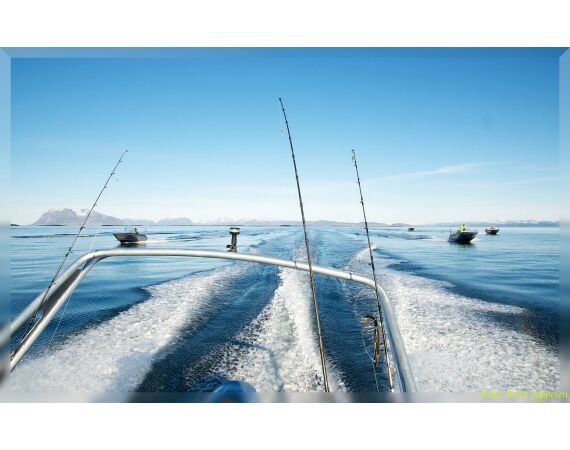 Raven Noorwegen festival 2026