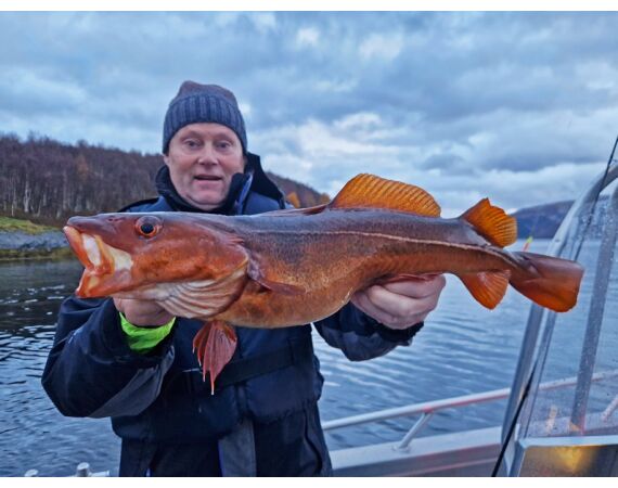 Raven Noorwegen festival 2026