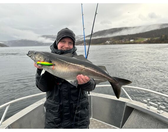 Raven Noorwegen festival 2026