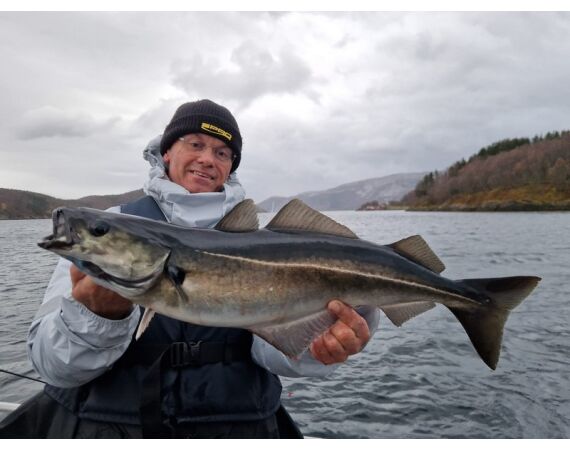 Raven Noorwegen festival 2026