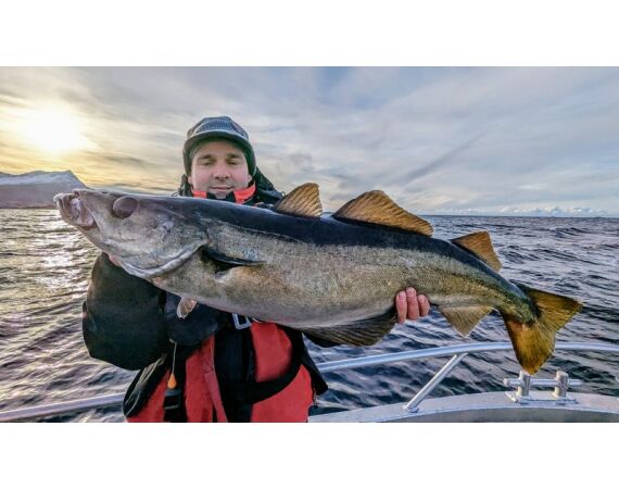 Raven Noorwegen festival 2026