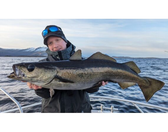 Raven Noorwegen festival 2026