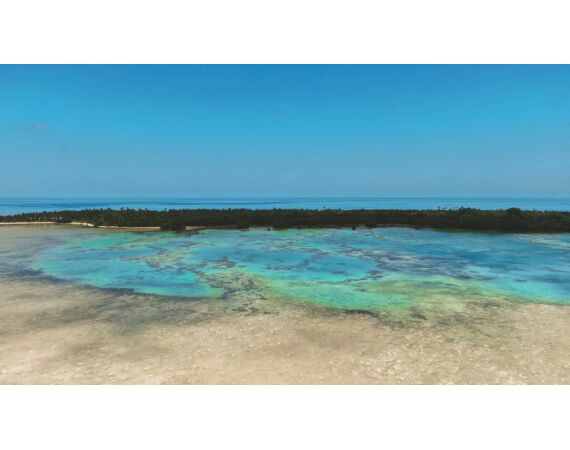 Indonesie Live aboard