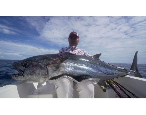 Indonesie Live aboard