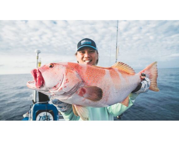 Indonesie Live aboard