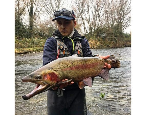 Van oost naar west in de Spaanse Pyreneeën okt 26