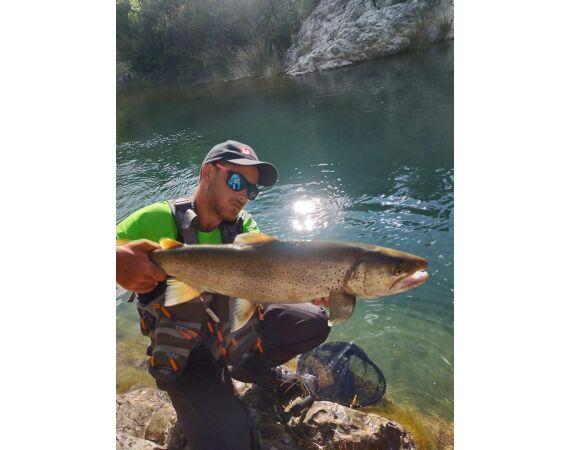 Van oost naar west in de Spaanse Pyreneeën okt 26