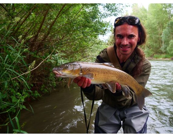 Van oost naar west in de Spaanse Pyreneeën okt 26