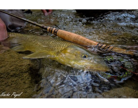 Van oost naar west in de Spaanse Pyreneeën okt 26