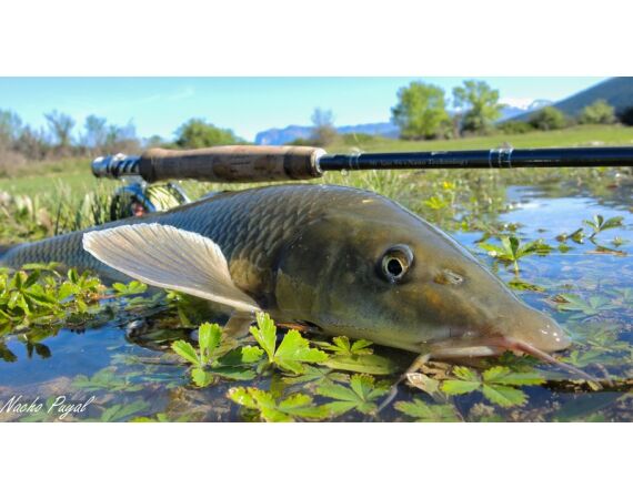 Van oost naar west in de Spaanse Pyreneeën okt 26
