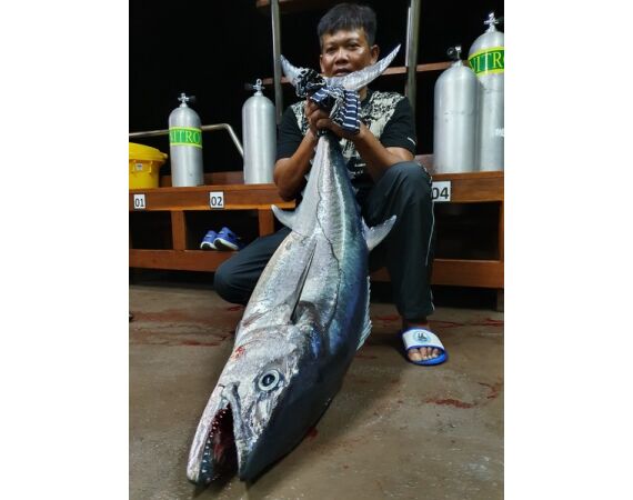 Lucipara eilanden okt 26