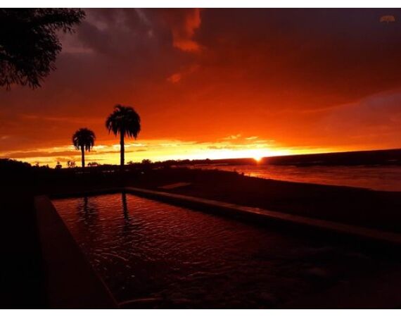 Argentinie, Golden Dorado