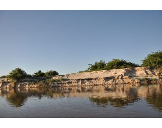 Argentinie, Golden Dorado