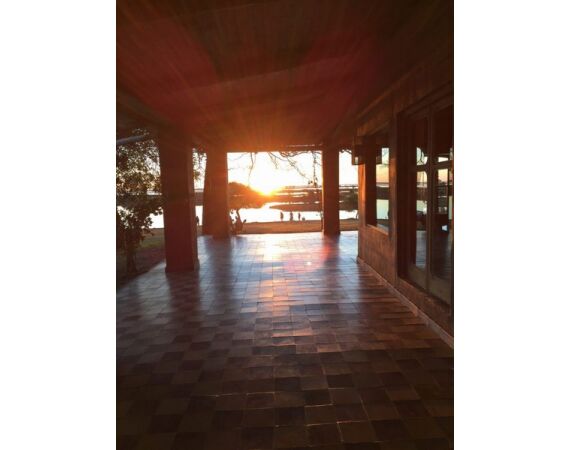 Argentinie, Golden Dorado