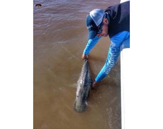 Argentinie, Golden Dorado