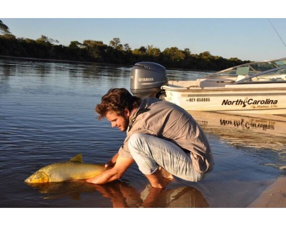 Argentinie, Golden Dorado