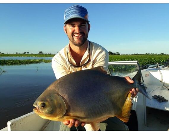Argentinie, Golden Dorado