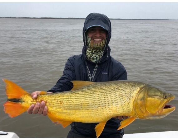 Argentinie, Golden Dorado