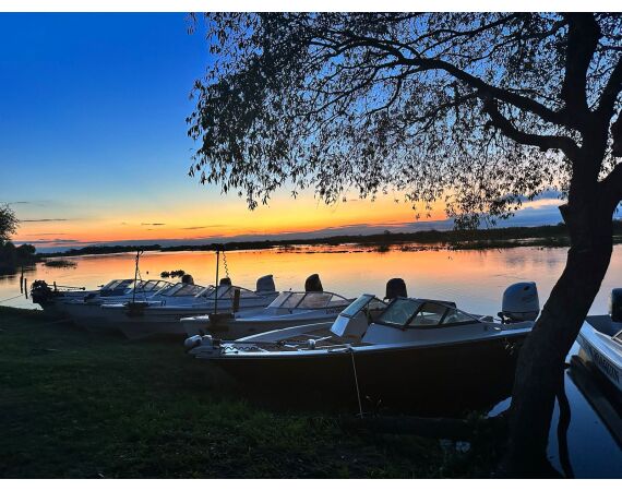 Argentinie, Golden Dorado