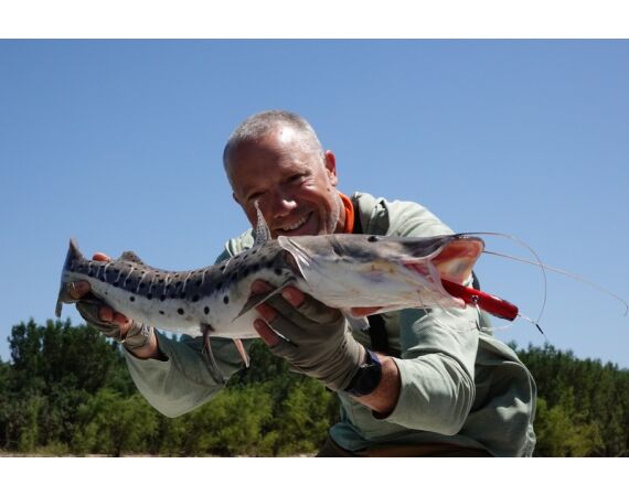 Argentinie, Golden Dorado