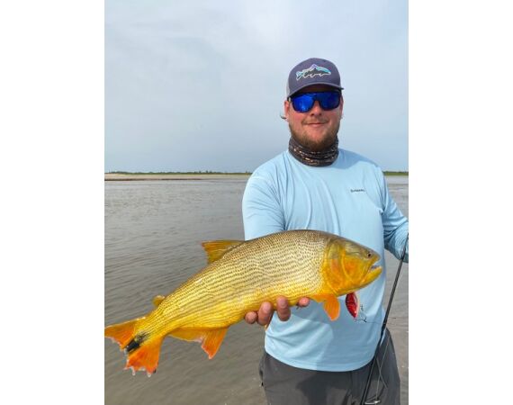 Argentinie, Golden Dorado