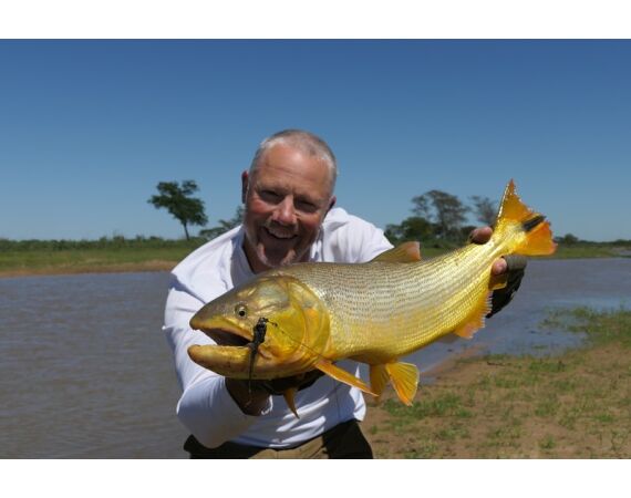 Argentinie, Golden Dorado