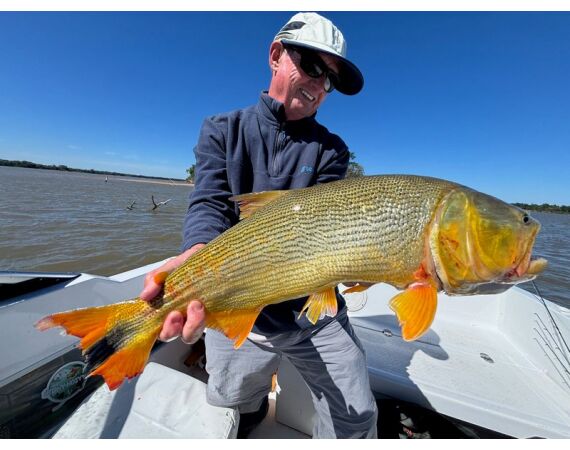 Argentinie, Golden Dorado