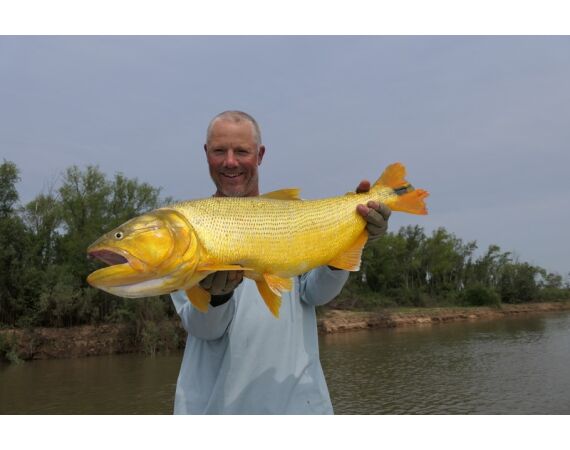 Argentinie, Golden Dorado