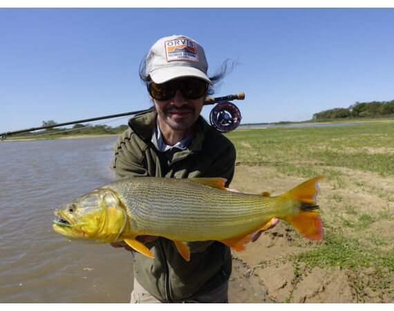 Argentinie, Golden Dorado