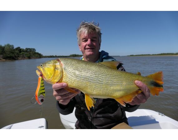 Argentinie, Golden Dorado