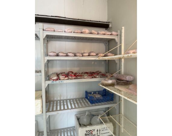 Light Tackle Noorwegen sep 26