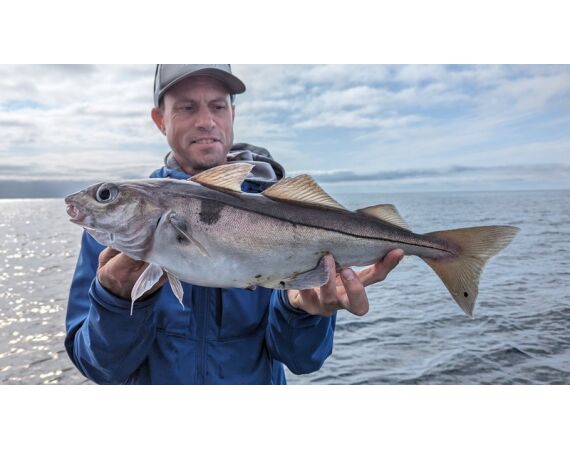 Light Tackle Noorwegen sep 26