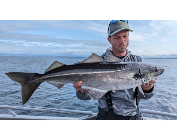 Light Tackle Noorwegen sep 26