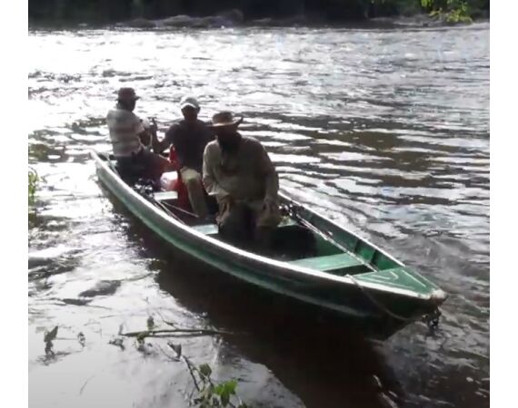 Amazone Guyana okt 2025