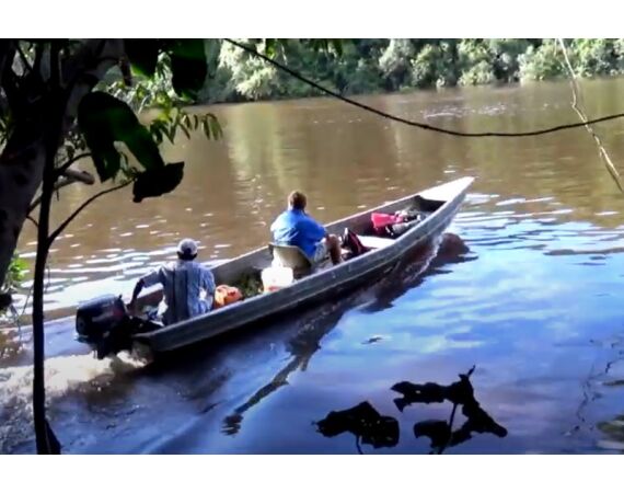 Amazone Guyana okt 2025