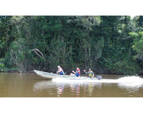 Amazone Guyana okt 2025