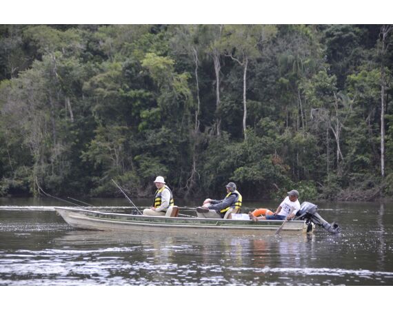 Amazone Guyana okt 2025