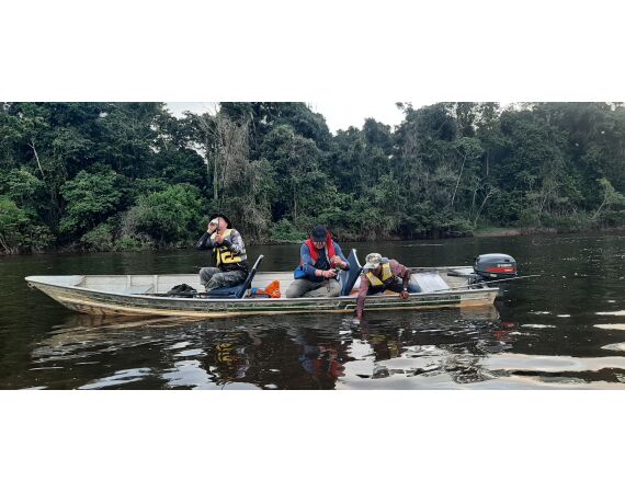 Amazone Guyana okt 2025