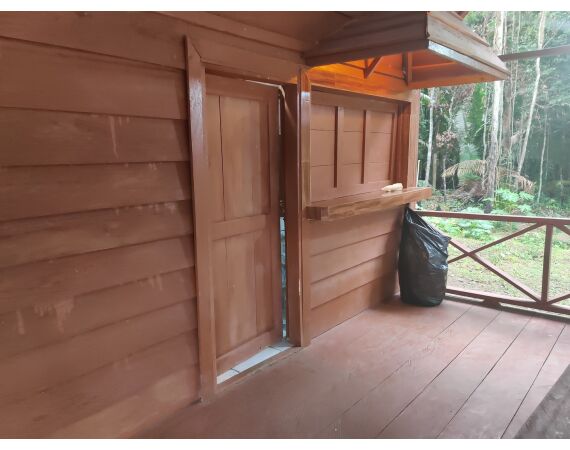 Amazone Guyana okt 2025